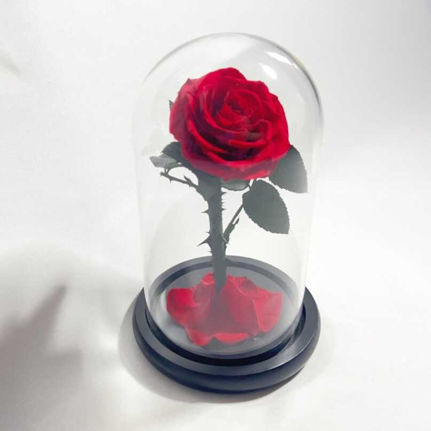 Eternal Rose in Glass Dome - Long-lasting Valentine's Gift