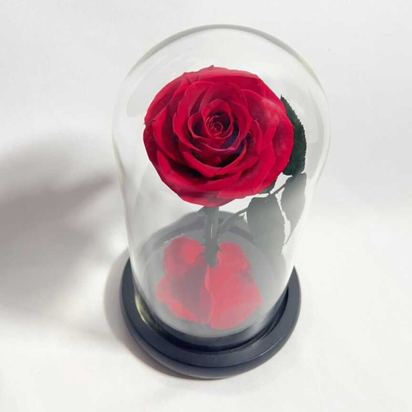 Eternal Rose in Glass Dome - Long-lasting Valentine's Gift