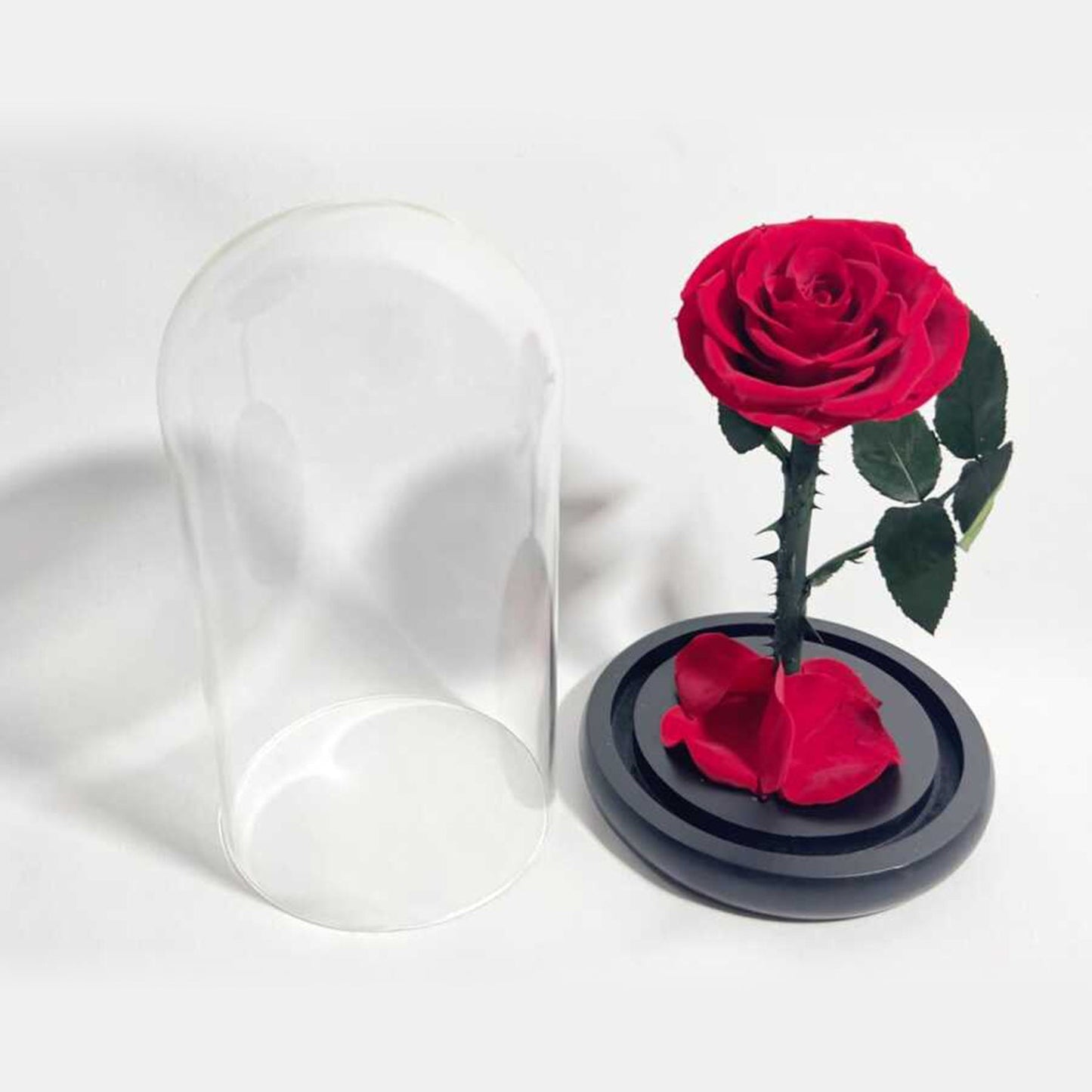 Eternal Rose in Glass Dome - Long-lasting Valentine's Gift