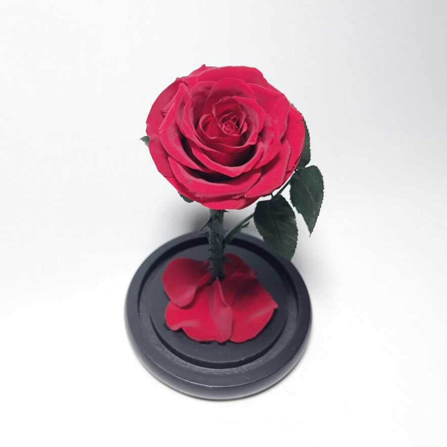 Eternal Rose in Glass Dome - Long-lasting Valentine's Gift