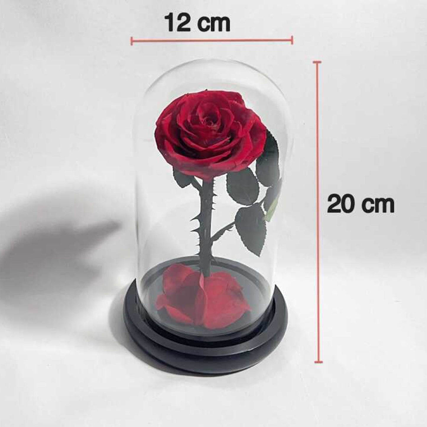 Eternal Rose in Glass Dome - Long-lasting Valentine's Gift