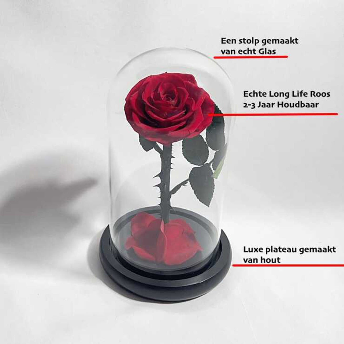 Eternal Rose in Glass Dome - Long-lasting Valentine's Gift