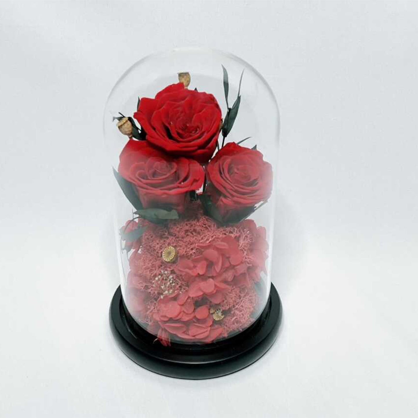 Real Roses in Glass Dome – Valentine’s Gift – Wedding Present – Mother’s Day Gift – Long-Life Preserved Roses – 2 to 3 Years Durable